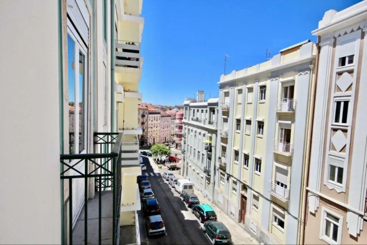 Lisboa Akicity Anjos Volt البرتغال